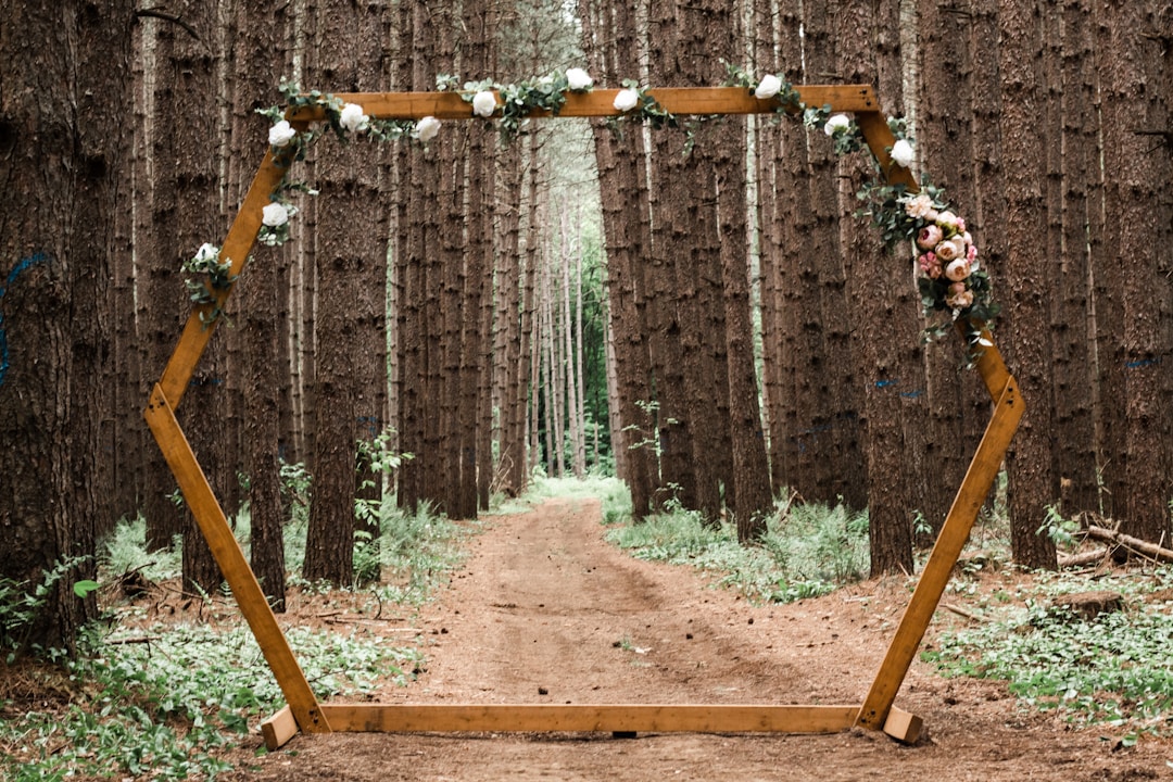 Wooden archway decorated with flowers in a forest setting for a wedding ceremony.