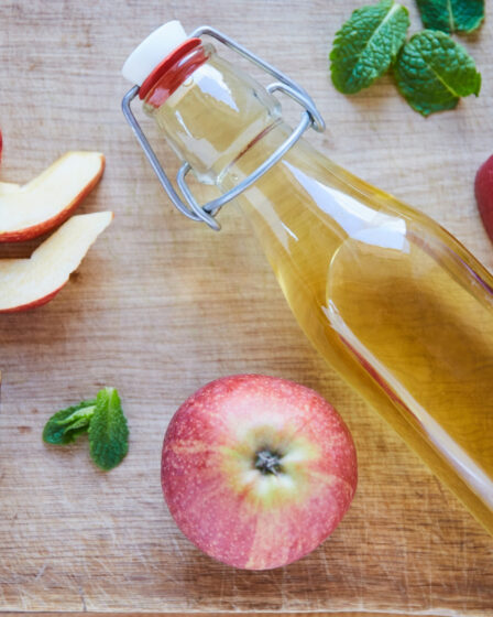 Bottle of apple cider vinegar with apple slices and mint leaves, showcasing natural ingredients and health benefits.